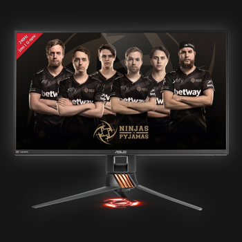 25'' Asus PG258Q ROG Swift - FullHD - 1ms - 240Hz Gaming - G-Sync