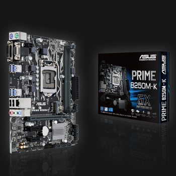 Asus B250M-K Prime bundkort