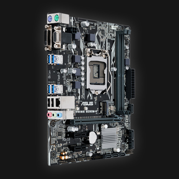 Asus B250M-K Prime bundkort