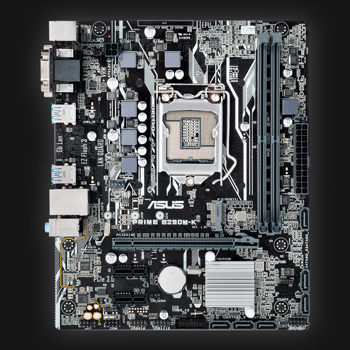 Asus B250M-K Prime bundkort