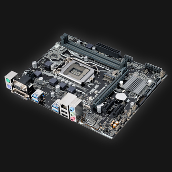 Asus B250M-K Prime bundkort