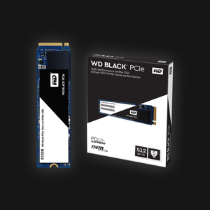 WD Black 512GB M.2 NVMe (SSD)