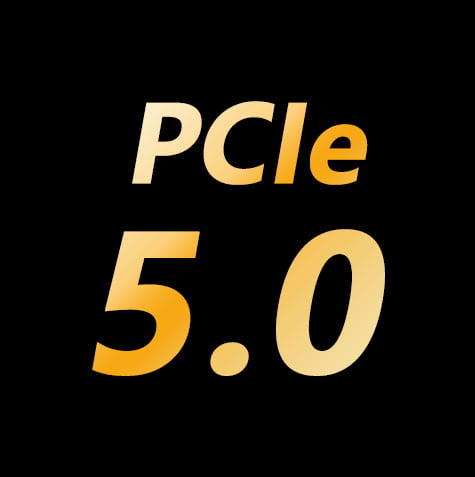 PCIe 5.0 logo
