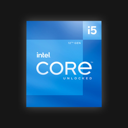 Intel® Core™ i5-12600K Processor (Tray)