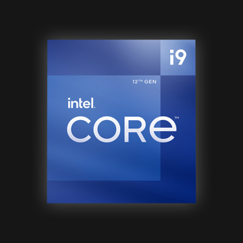 Intel® Core™ i9-12900 Processor (Tray)