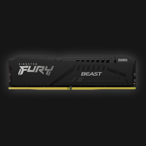 Kingston Fury Beast 32GB DDR5-5200 RAM