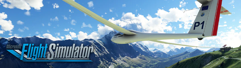 Microsoft Flight Simulator banner